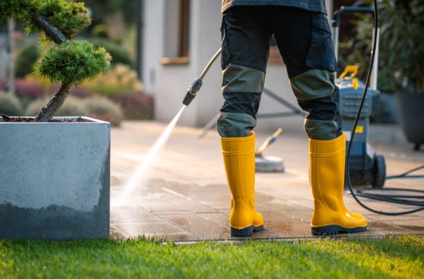 Best Pressure Washing Near Me  in West Lafayette, OH